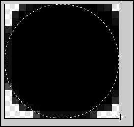 Acorn's broken Circle Selection