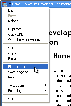 Google Chrome web aplication window menu