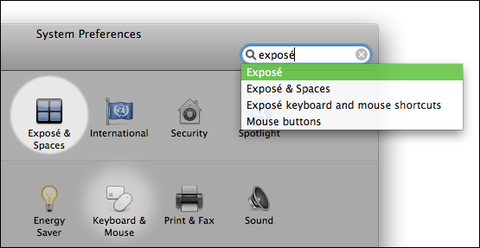 Searching in System Preferences