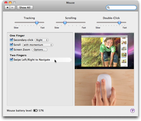 Mouse System Preferences